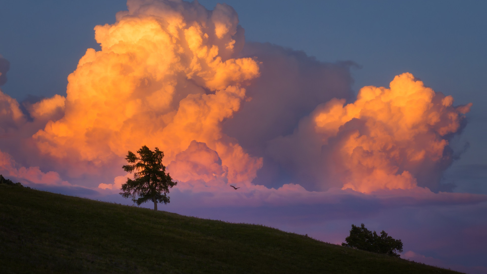 Featured image of tag machine learning