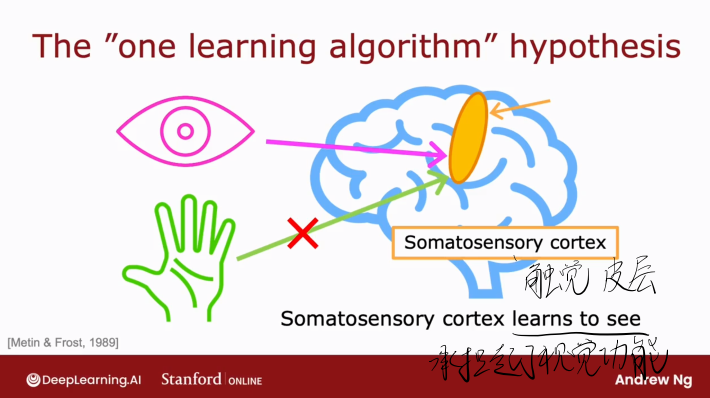 image-20251030123951662