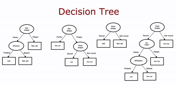 image-20251030220545338