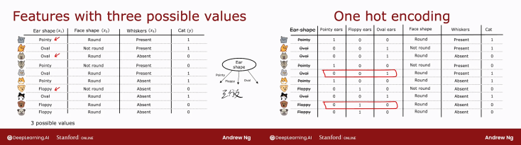 image-20251031102053667